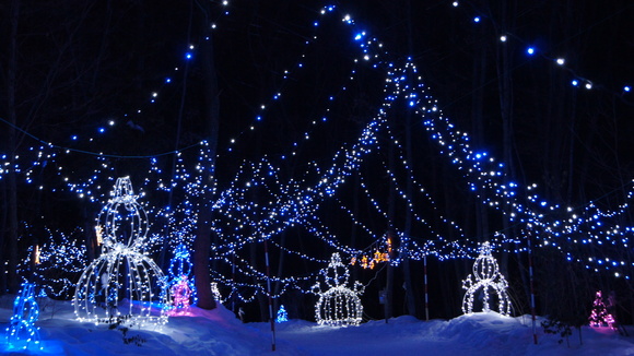 f0233414_22513322.jpg