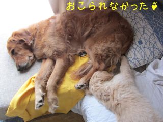 b0008217_18361946.jpg