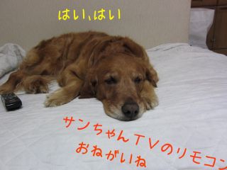 b0008217_18364769.jpg