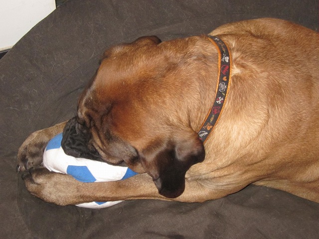 e0192217_9332011.jpg