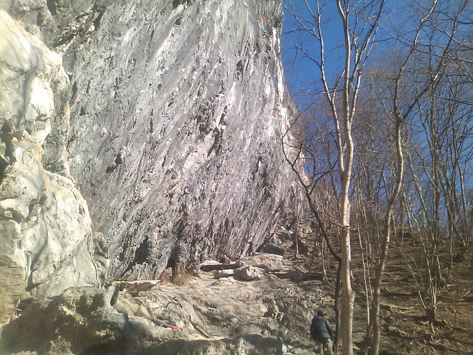 c0210618_22007.jpg