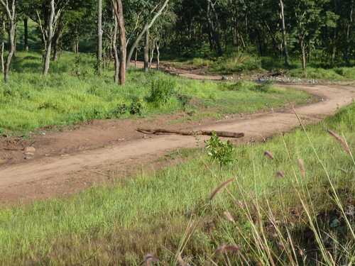b0208620_1159435.jpg
