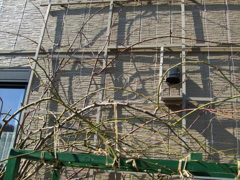 b0132024_20185415.jpg