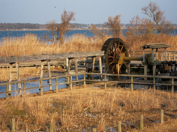 f0147025_2184681.jpg