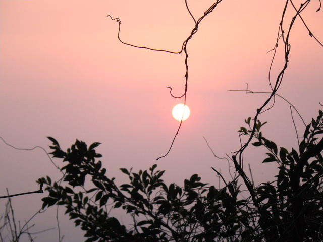 f0000330_2084865.jpg