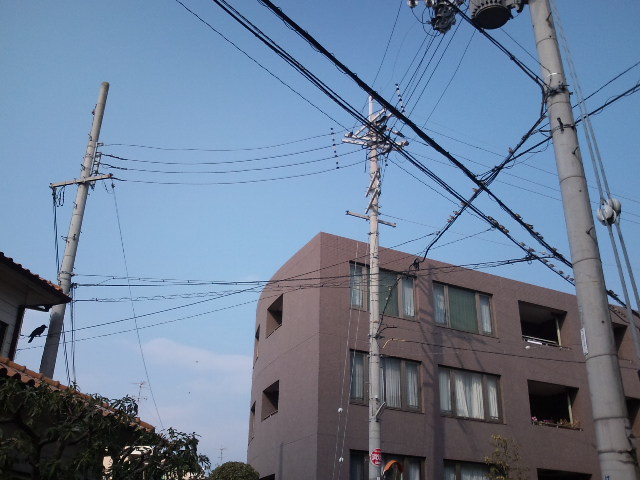 e0034047_1543374.jpg