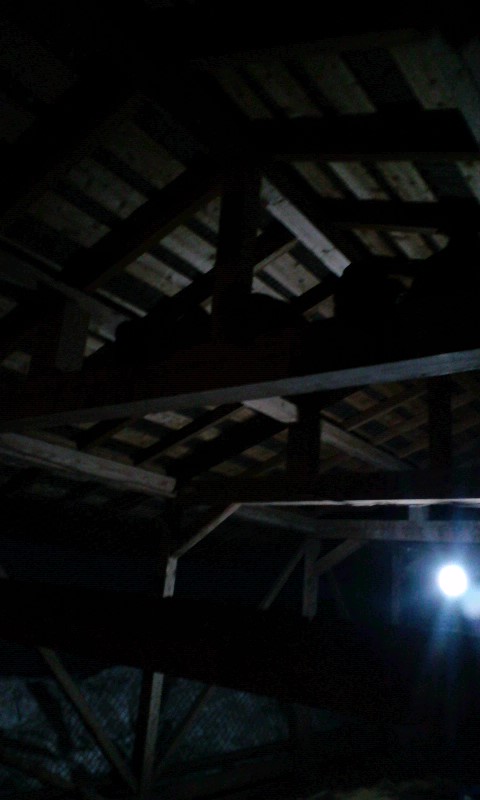 d0009952_22574335.jpg