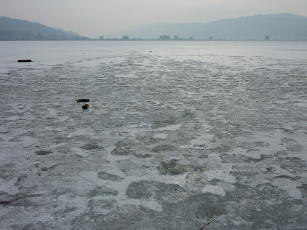 f0160554_2032179.jpg