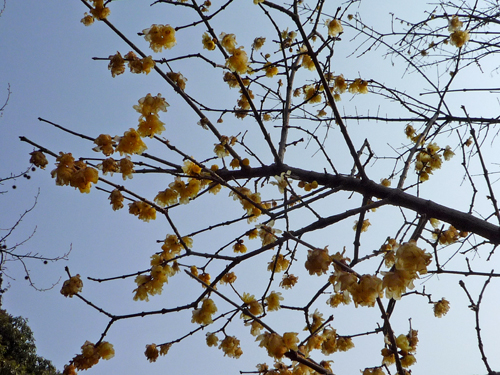 b0045357_953831.jpg