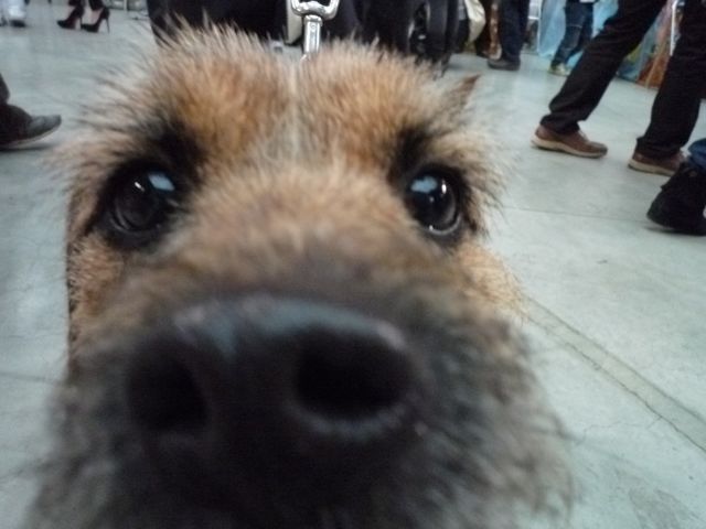 f0177261_1718954.jpg
