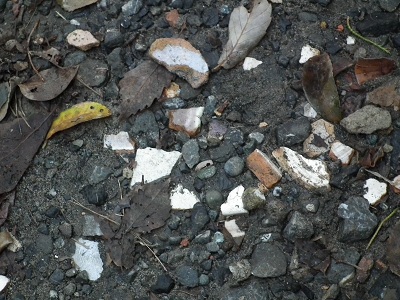 e0225164_722309.jpg