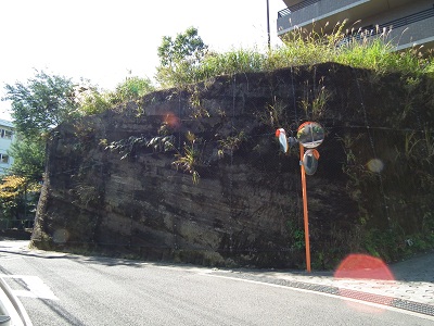 e0225164_771337.jpg