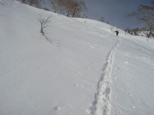 b0050067_23212242.jpg