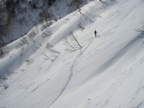 b0050067_2323166.jpg