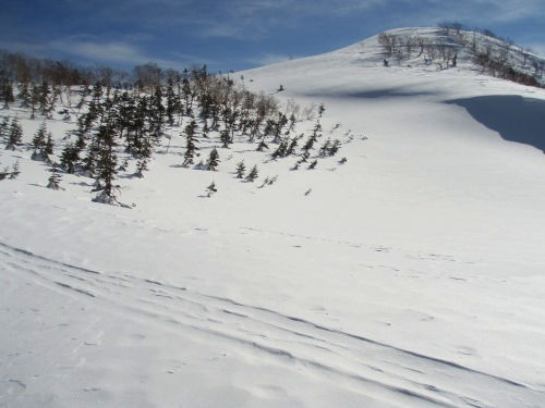 b0050067_2333575.jpg