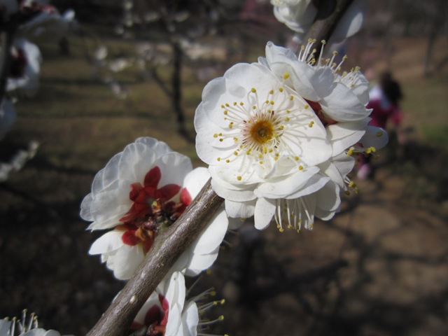 c0202870_22562645.jpg