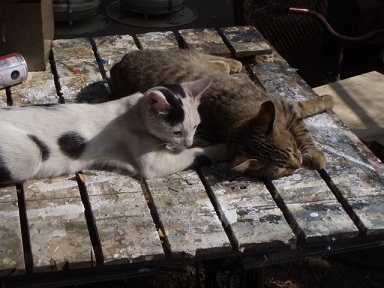 c0214272_233380.jpg