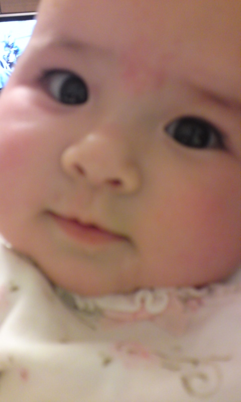 a0140576_23323711.jpg