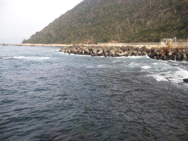 a0120877_21135588.jpg