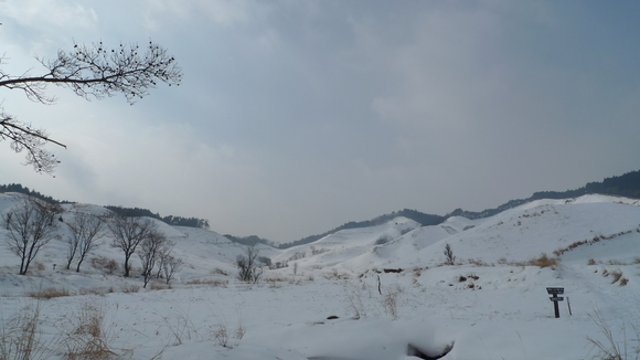 e0024081_1801713.jpg
