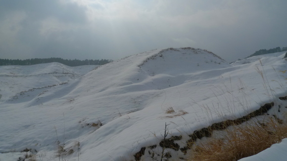 e0024081_1803775.jpg
