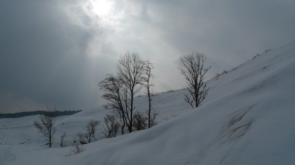 e0024081_1814048.jpg