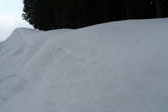 e0024081_1815749.jpg