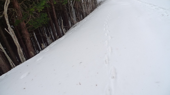 e0024081_182169.jpg