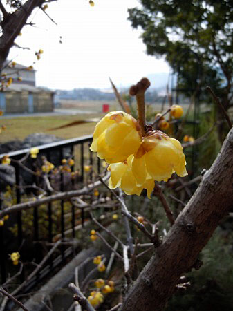 c0045882_23272137.jpg
