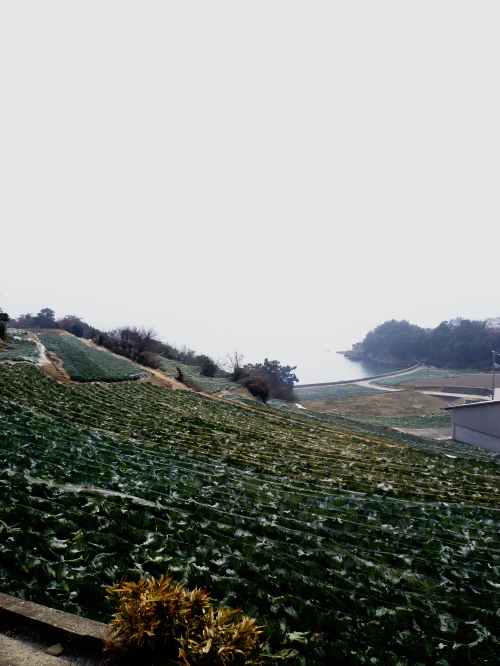 d0179983_23285965.jpg