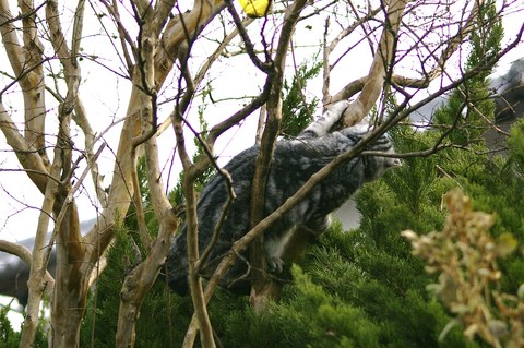 e0197884_0154891.jpg