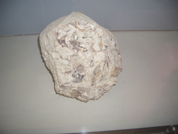 b0118987_8475.jpg