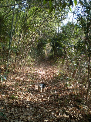 e0123587_20383294.jpg