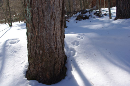 e0125894_1804116.jpg