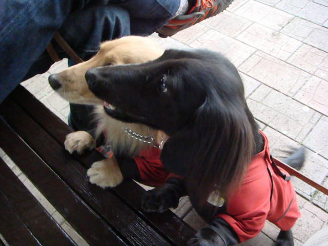 d0098295_024082.jpg