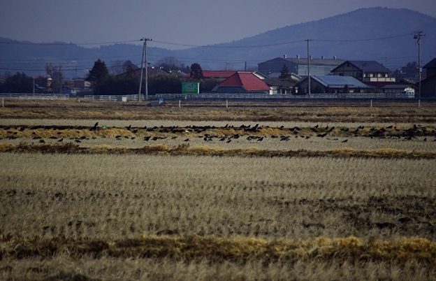 c0125596_16324895.jpg
