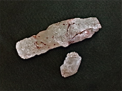 a0199297_2037039.jpg