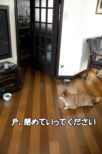 b0141397_9591359.jpg