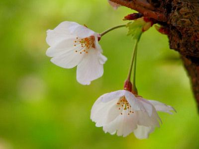 f0201297_2129105.jpg