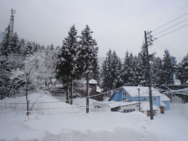 a0061599_8581370.jpg
