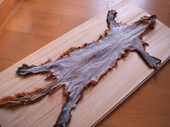 e0204899_12233550.jpg