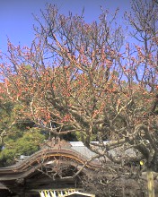 c0164401_0303134.jpg