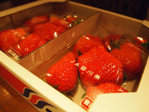 a0050302_4114189.jpg