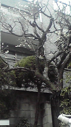 a0172410_2361899.jpg