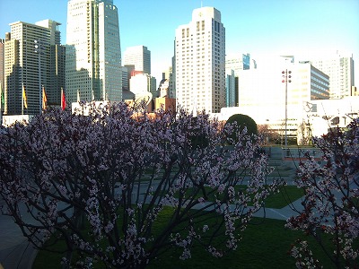 b0171411_1156356.jpg