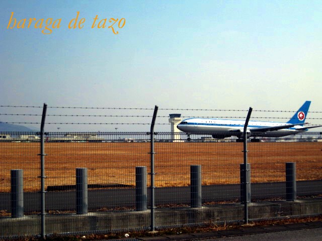 f0155614_2342584.jpg