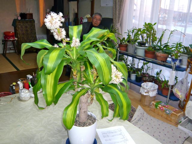 e0111220_15433432.jpg