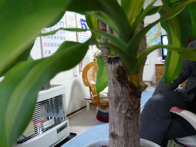 e0111220_1557439.jpg