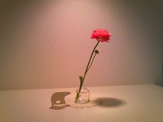 a0155822_825467.jpg
