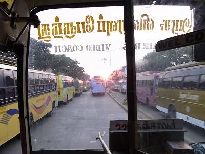 a0154527_739823.jpg